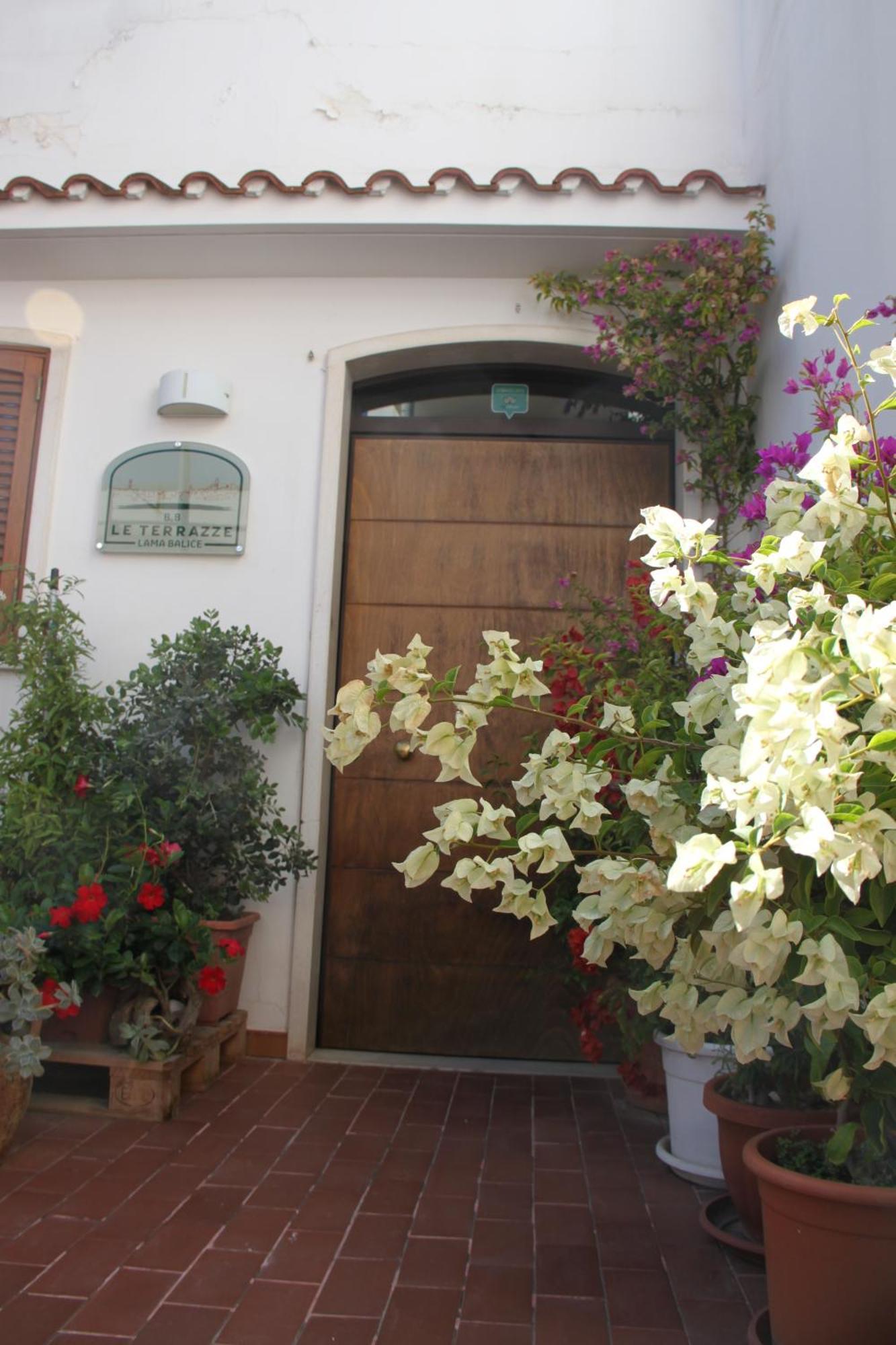 San Lorenzo